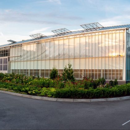 Glass greenhouse planting vegetable greenhouses