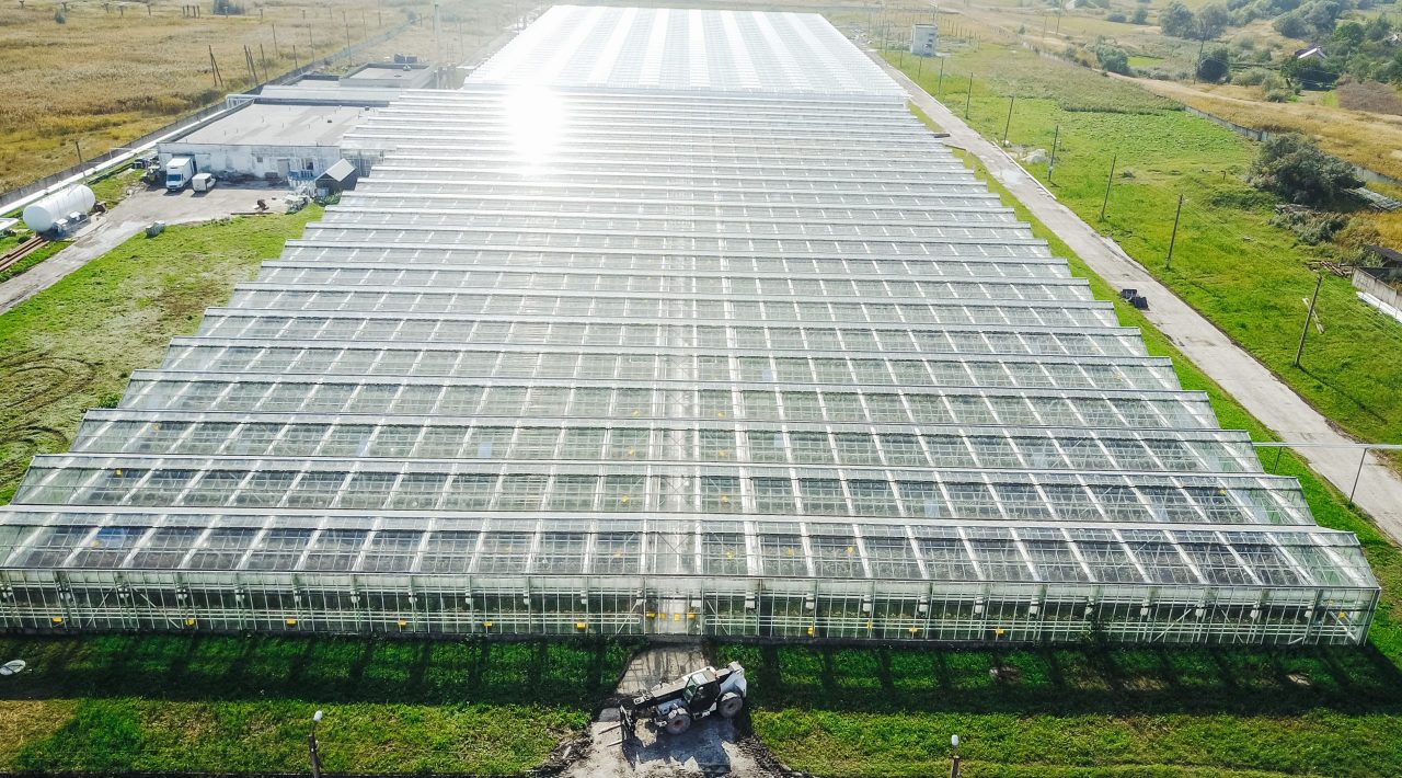 Greenhouses field. Flying over the greenhouses. Greenhouses from the air. Greenhouses with drone. Florists from a height. Glass greenhouses in the field with drone. Growing flowers in greenhouses.