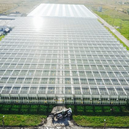 Greenhouses field. Flying over the greenhouses. Greenhouses from the air. Greenhouses with drone. Florists from a height. Glass greenhouses in the field with drone. Growing flowers in greenhouses.