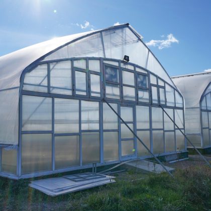 greenhouses-in-agriculture-small-business-greenh-2023-11-27-04-54-35-utc