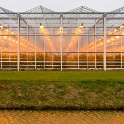 background of a commercial greenhouse